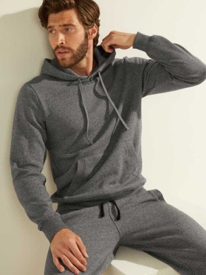 Men's Guess Eco Roy Embroidered Logo Hoodies Dark Grey | 5017-RSCDX
