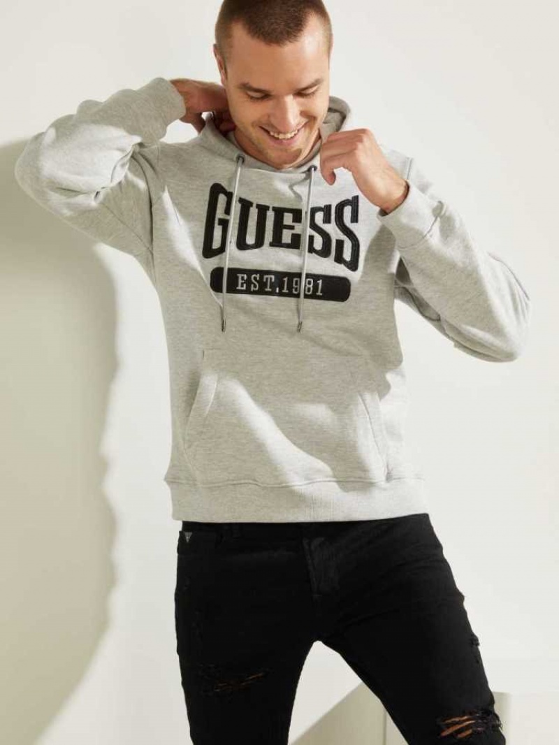 Men's Guess Logo Active Hoodies Light Grey | 8564-WRKBC
